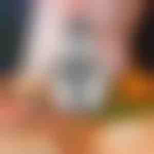 Multifunkcionalni kuhinjski blender | MULTIMINCER