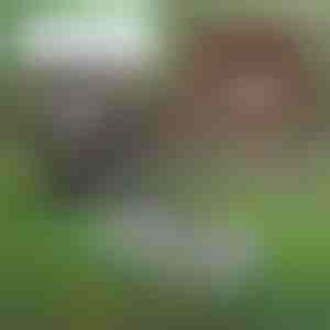 Višenamjenski vrtni alat za održavanje tla | PRONGSPRO