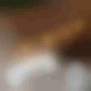 20 samoljepljivih kopči za ugradnju svjetla | CORDCLIP