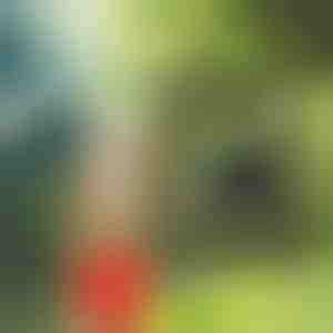 Prijenosni tuš | SHOWDY