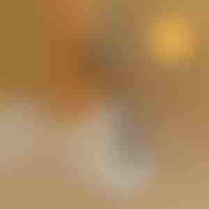 Pomagalo za obuvanje bez saginjanja | SHOEVA