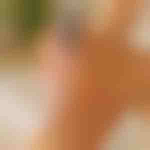 Glatka i mekana stopala | PEDIVIA