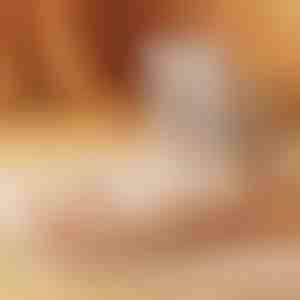 Brzi sušač obuće | DRYVATUS