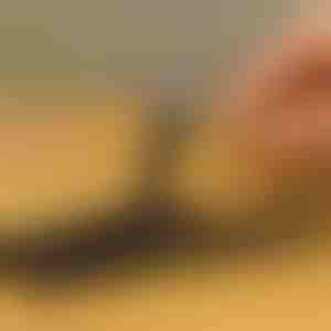 Set od 10 izvijača za oštećene vijke | SCREWX