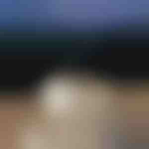 Umirujući difuzor arome | MEDUSAMIST