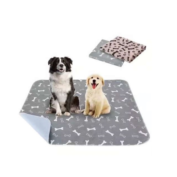 PAWSORB-3831127628143-N-3__081225