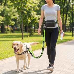 Nosiva povodac za trčanje sa psom | DOGZIP
